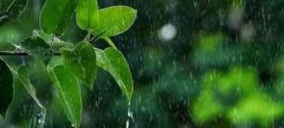 বৃষ্টির পর আবারও সারাদেশে ফিরেছে শীতের আমেজ