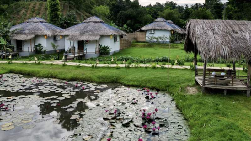 মৌলভীবাজারের শ্রীমঙ্গল উপজেলার রাধানগর গ্রাম পর্যটনের ছোঁয়ায় এখন শহর