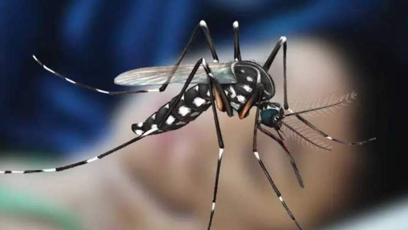 দেশে ডেঙ্গু আক্রান্ত হয়ে হাসপাতালে ভর্তি ৪১৩ জন