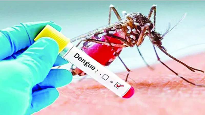 দেশে ডেঙ্গুতে ২ জনের মৃত্যু, হাসপাতালে ভর্তি ১৯৪ জন