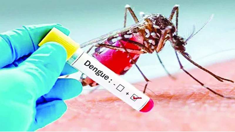  আজ ডেঙ্গুতে ১ জনের মৃত্যু, হাসপাতালে ভর্তি ৩৩ জন