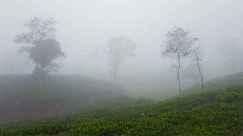শ্রীমঙ্গলে টানা ৪ দিন ধরে দেশের সর্বনিম্ন তাপমাত্রা ১০