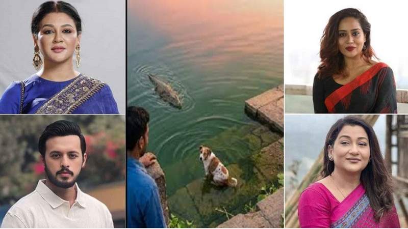 মাজারে কুমিরের পানিতে জীবন্ত কুকুরকে ফেলায় তারকাদের ক্ষোভ